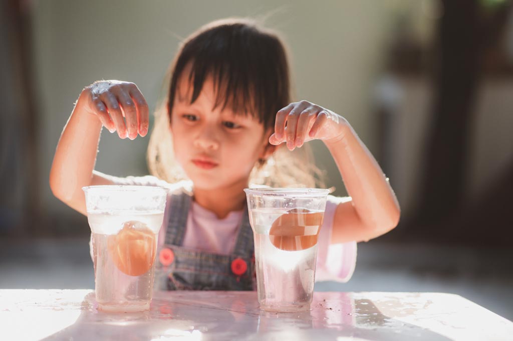 science activities for preschool learners